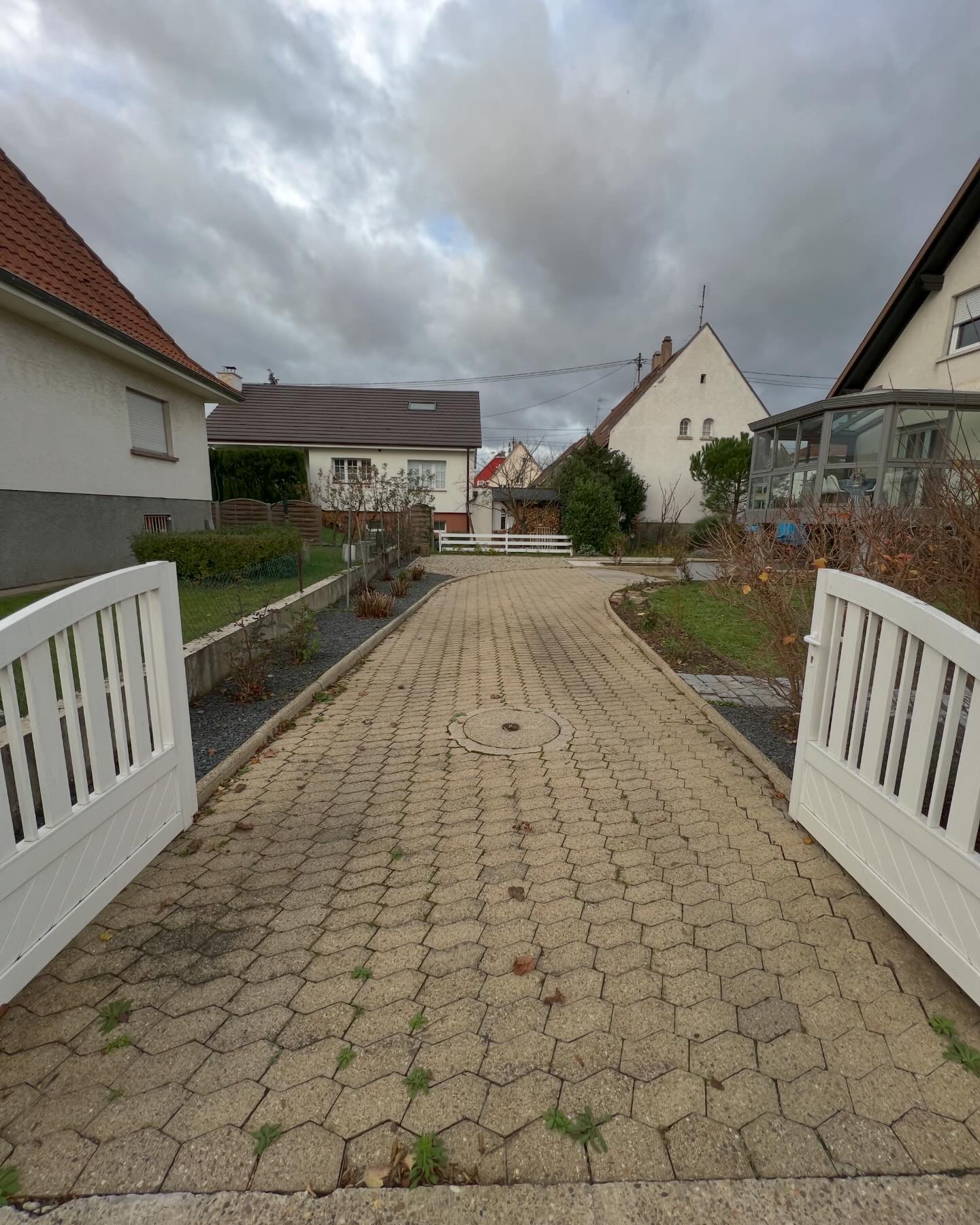 🌿 Mauvaises herbes dans les joints de pav&eacute;s : pourquoi &ccedil;a pousse, comment l&rsquo;&eacute;viter et quelles solutions durables &agrave; Strasbourg Schiltigheim